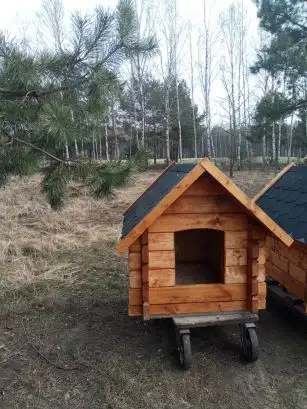 Zdjęcie budy dla psa 27