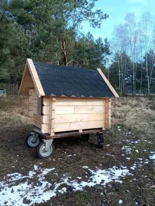 Zdjęcie budy dla psa 29